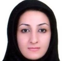 سارا اسدی - تغذیه فسا