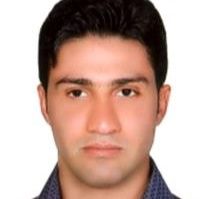 سیدشهاب الدین حسینی نسب - گفتاردرمانی یزد