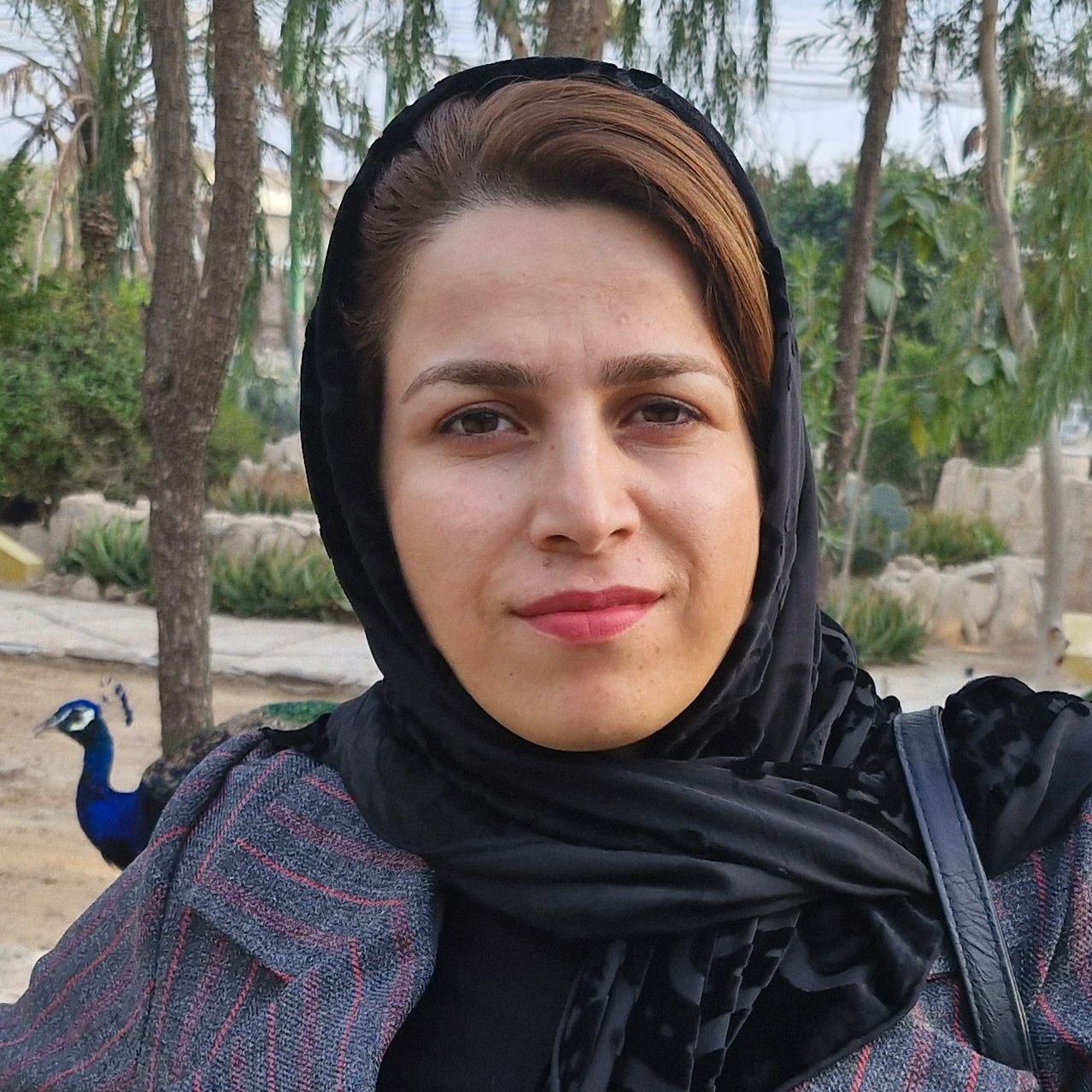 دکتر سیده آنیتا دریاباری - زنان و زایمان 