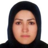 دکتر زهرا شفیعی - دندانپزشک بیرجند