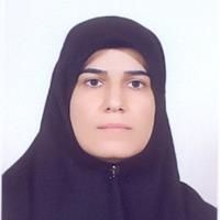 فرخنده هادی خلج زاده - مامایی دزفول