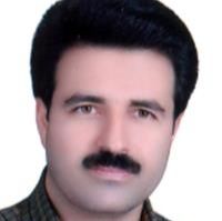 دکتر مجتبی گل رازقی - داخلی فسا