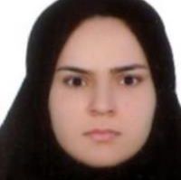 دکتر مینا نوروزی - داخلی بندرگناوه