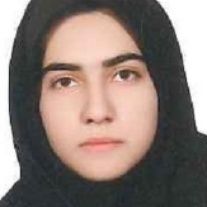 فاطمه فولادی - روانشناسی 