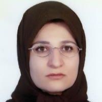 سودابه امیری - تغذیه محلات