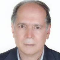 دکتر سید محمد محمدی زارچ - داخلی یزد