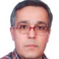 دکتر محمدرضا رضوان فر - داخلی اراک