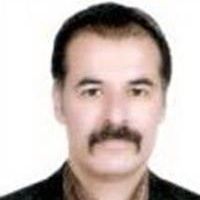 دکتر سیدعلیرضا میرکریمی - داخلی گرگان