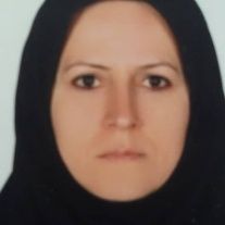فهیمه نجاتی چاتقیه - روانشناسی کمال شهر