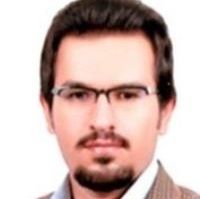 شایان علمداری فر - کار درمانی 