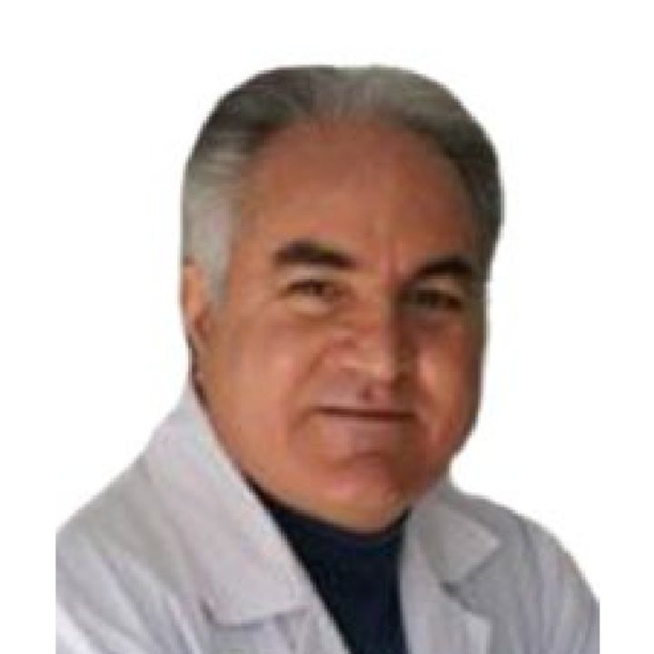 دکتر انوشیروان رحیمی قره میرشاملو - شبکیه (ویتره و رتین) تهران