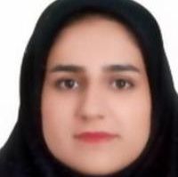 دکتر سروین دلیل - داخلی عجب شیر