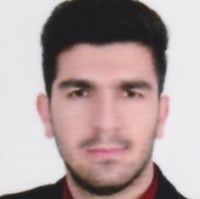 سید حمید ملک حسینی - فیزیوتراپی شیراز