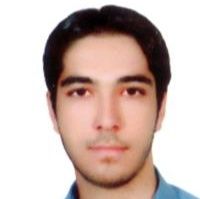 سعید سعیدی - کار درمانی 