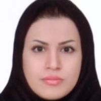 دکتر سرور رجب کردی - رادیولوژی رودهن