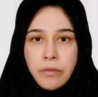 دکتر نرگس مقدسی - زنان و زایمان تهران