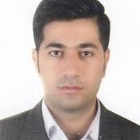 جلال سعیدی - کار درمانی فردیس