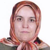 دکتر اکرم قدیری اناری - داخلی یزد