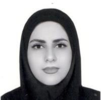 نگار حاجی کریم - کار درمانی مهاباد