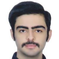 دکتر سینا سلامی - ارتوپدی تهران