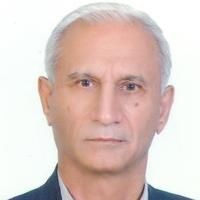 دکتر محمود شیشه گر - گوش و حلق و بینی شیراز