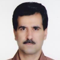 دکتر محمدتقی گرجی - داخلی اراک