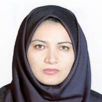 دکتر شهین صفیان - داخلی همدان