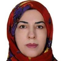 نسرین شیخلو - مامایی تهران