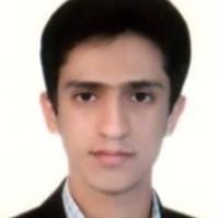 دکتر سیدمجتبی میرزاده - گوش و حلق و بینی یزد