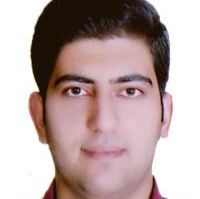 حسام حمزه نژادی - کار درمانی شیراز